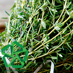 لیست قیمت ارزان آویشن معمولی