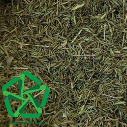 صادرات گیاه آویشن برگ باریک