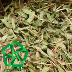 فروشگاه پودر آویشن معمولی