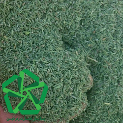 قیمت خرید عمده آویشن