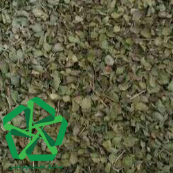 مشاوره فروش عصاره آویشن