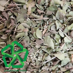 عرضه عمده آویشن خوراکی