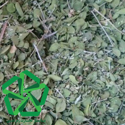 صادرات دمنوش آویشن کرمان