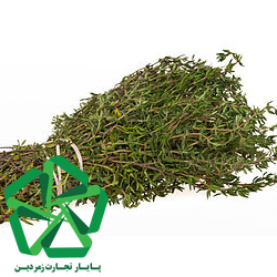 بسته بندی ویژه آویشن باغی