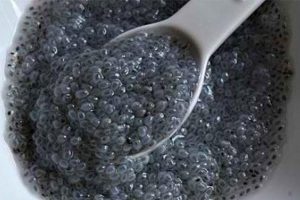 صادرات بهترین دانه تخم ریحان