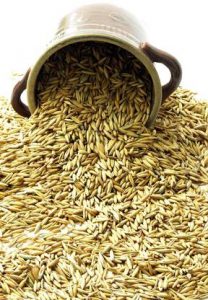 خرید اینترنتی دانه یولاف