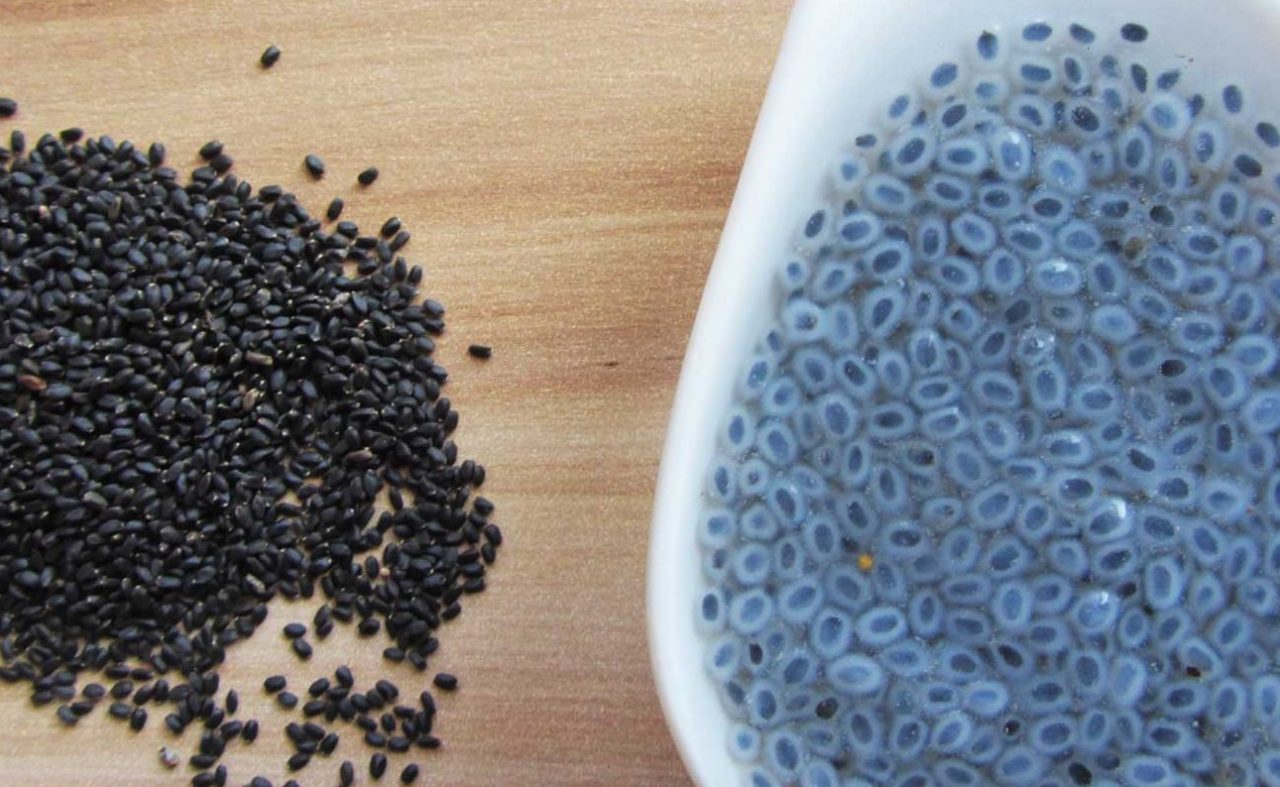 خرید دانه تخم شربتی ریز