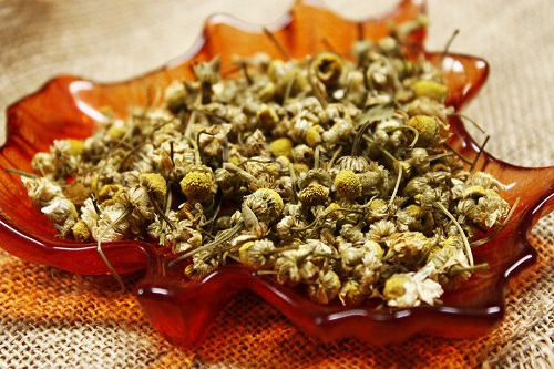 خرید اینترنتی بهترین دمنوش بابونه صحرایی