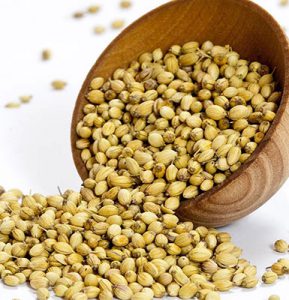 بسته بندی عمده دانه گشنیز لپه همدان