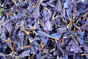 فروش عمده دمنوش گل گاوزبان شمال