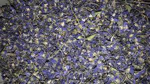 صادرات دمنوش گل بنفشه