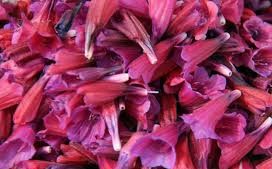 تهیه دمنوش گل گاوزبان الموت