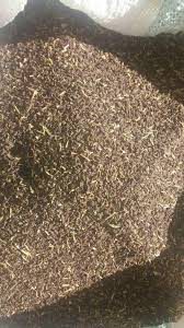 مرکز خرید دانه اسفند