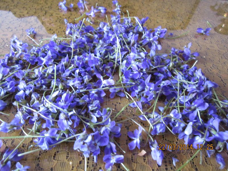 خرید اینترنتی عمده دمنوش گل بنفشه