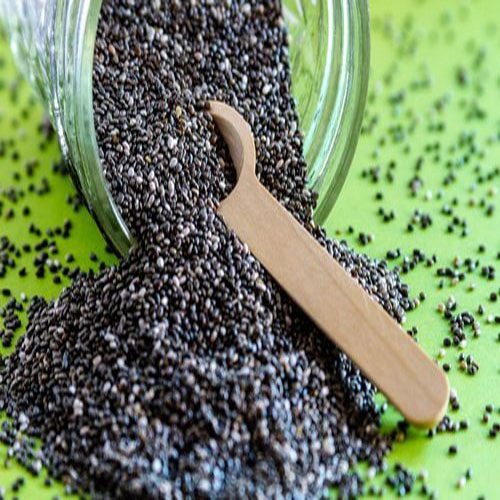 خرید دانه تخم ریحان مرغوب