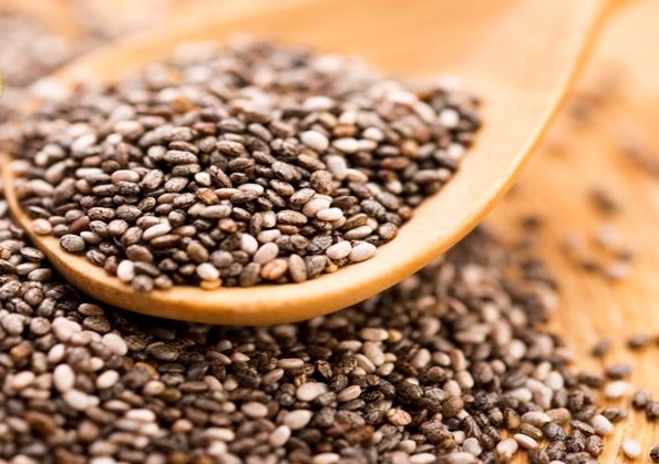 مرکز خرید بهترین دانه تخم چیا