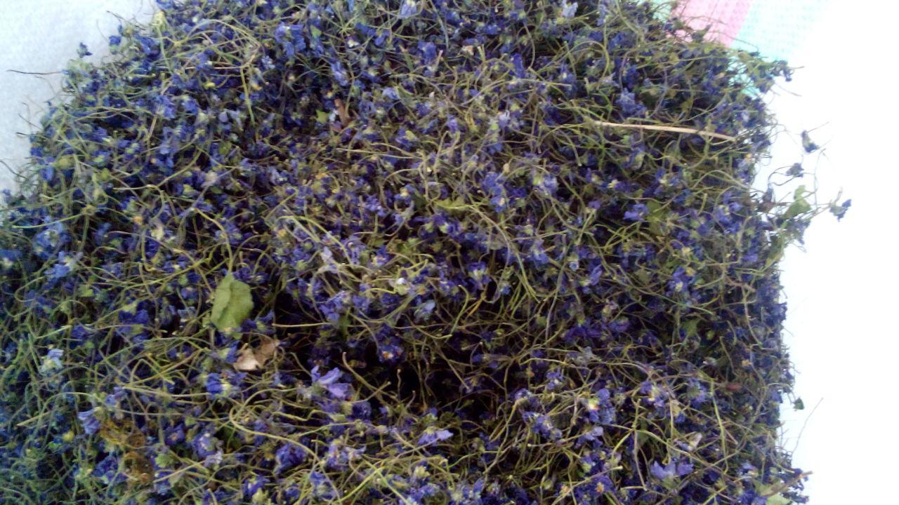 مرکز فروش عمده دمنوش گل بنفشه