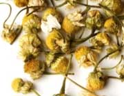 مرکز فروش بهترین دمنوش بابونه صحرایی