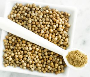 فروش اینترنتی انواع دانه گشنیز توپی همدان