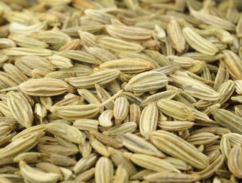 دانه رازیانه