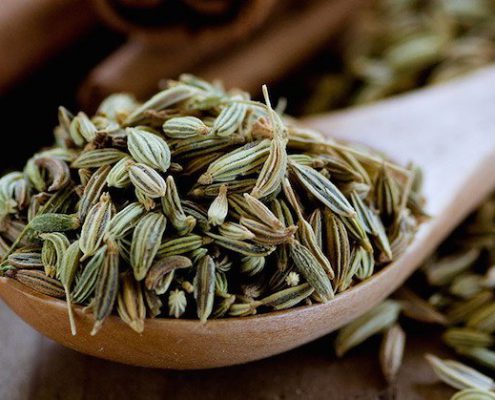 دانه رازیانه