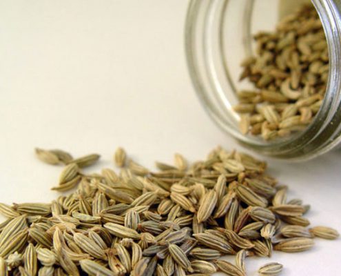 دانه رازیانه