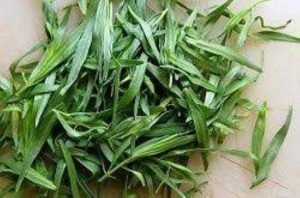 عرضه سبزی ترخون خشک