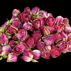 غنچه گل محمدی