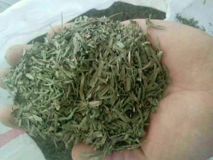 عرضه سبزی ترخون خشک