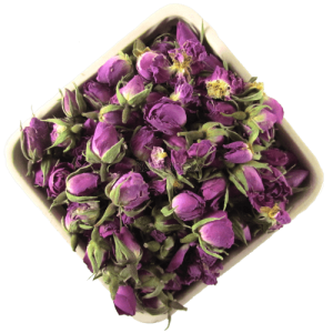 فروش عمده غنچه گل محمدی