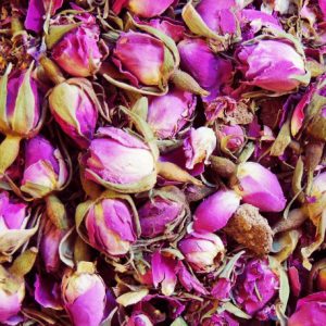 صادرات غنچه گل محمدی