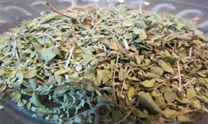 فروش آویشن خشک شده