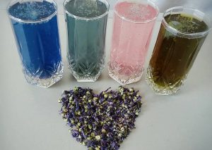 فروش گل پنیرک مرغوب