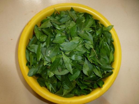 وضعیت تجارت و فروش برگ حنا در سراسر کشور