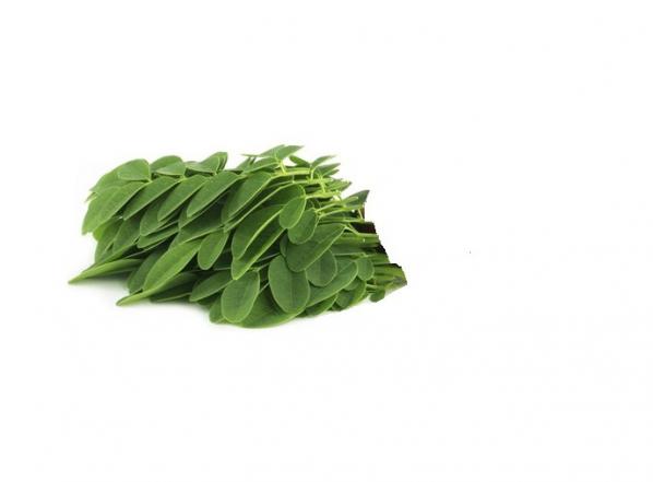 خرید برگ کنار ارزان از عطاری ها