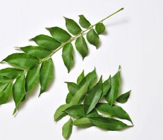 تولید و بسته بندی برگ حنا برای مصارف مختلف