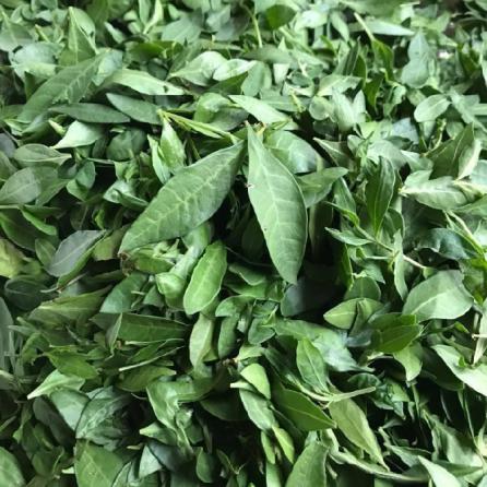 شرکت های توزیع کننده برگ حنا در تهران