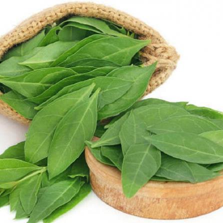 آخرین قیمت مبادله برگ حنا در بازار