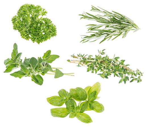 فروش ویژه انواع گیاهان دارویی در تهران