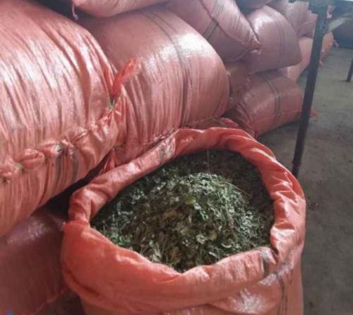 صادرات برگ کنار به کشور های همسایه