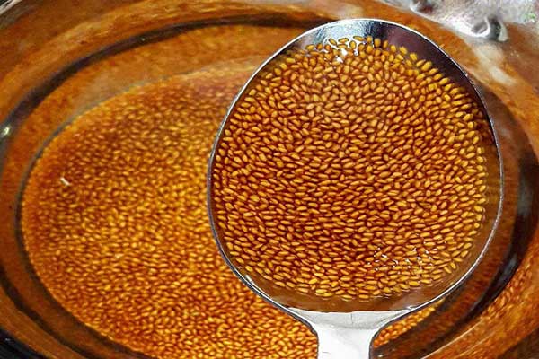 فروش انواع دانه خاکشیر