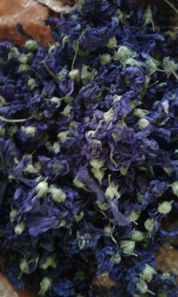 گیاه دارویی پنیرک صادراتی