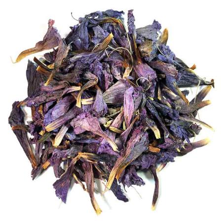 خصوصیات گل گاوزبان خارجی