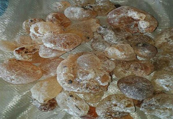 صمغ فارسی چگونه تهیه می شود؟