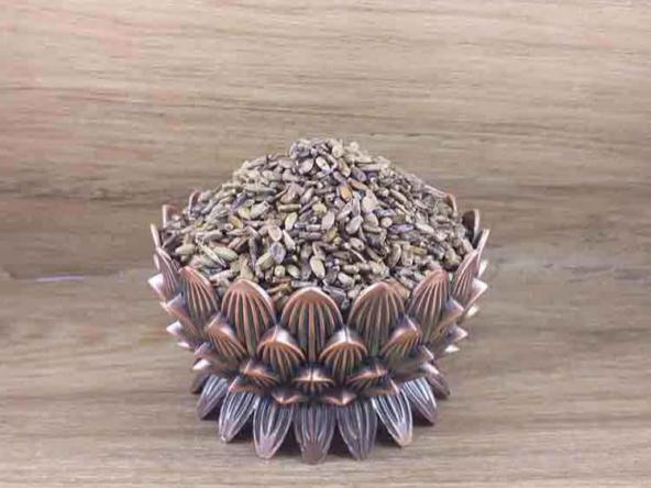 پخش عمده بذر خارمریم ارگانیک در سراسر کشور