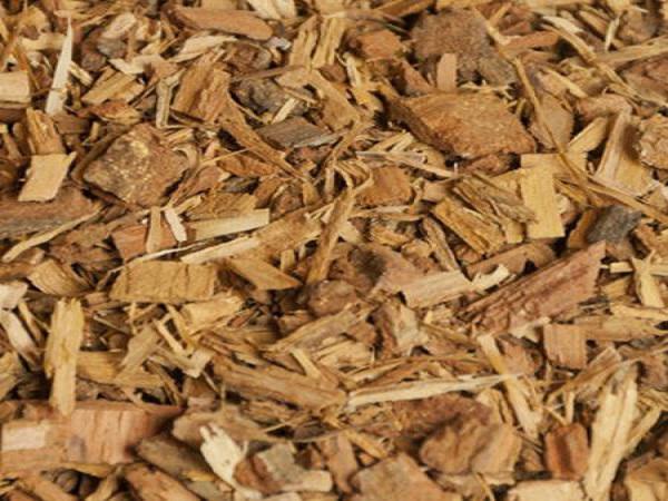 خرید جفت بلوط بسته بندی شده ایرانی