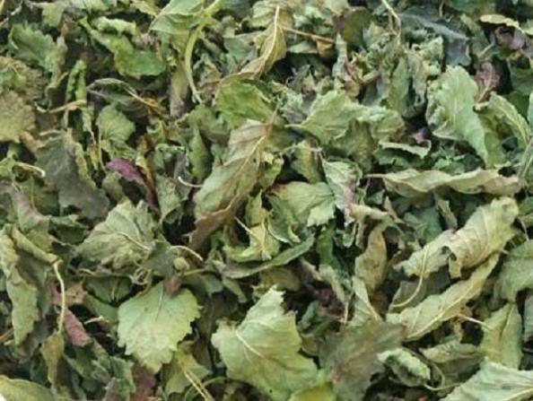 قیمت برگ گزنه خشک در ایران