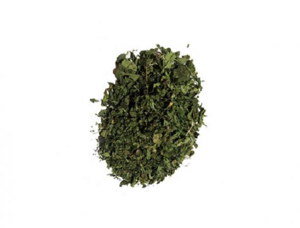 چگونه برگ گزنه خشک ارزان بخریم؟