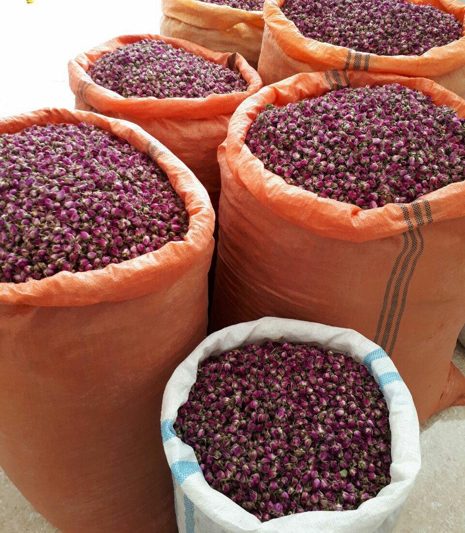 قیمت فروش غنچه