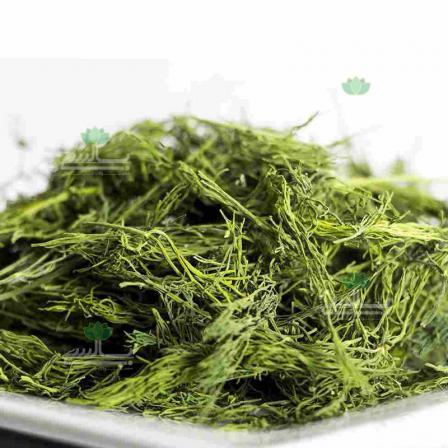 بررسی تمام خواص سبزی خشک شوید پفکی